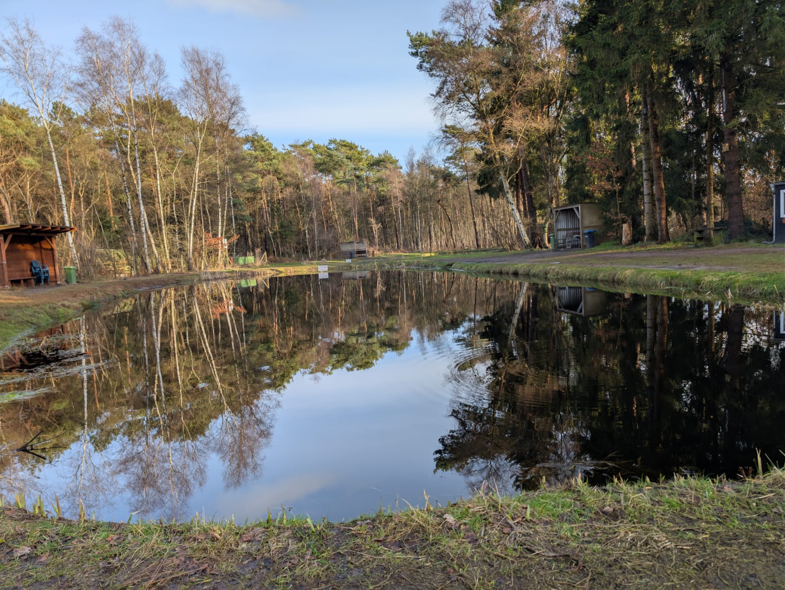 Teich 2