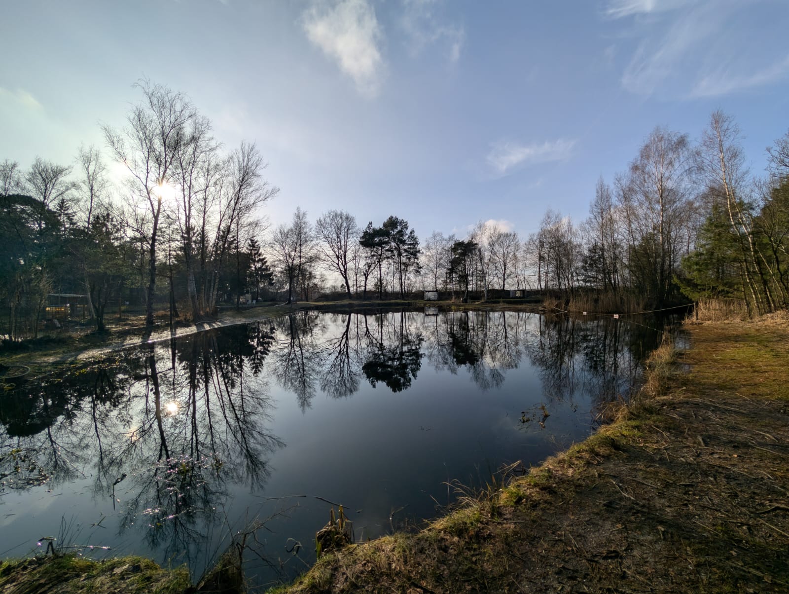 Teich 4