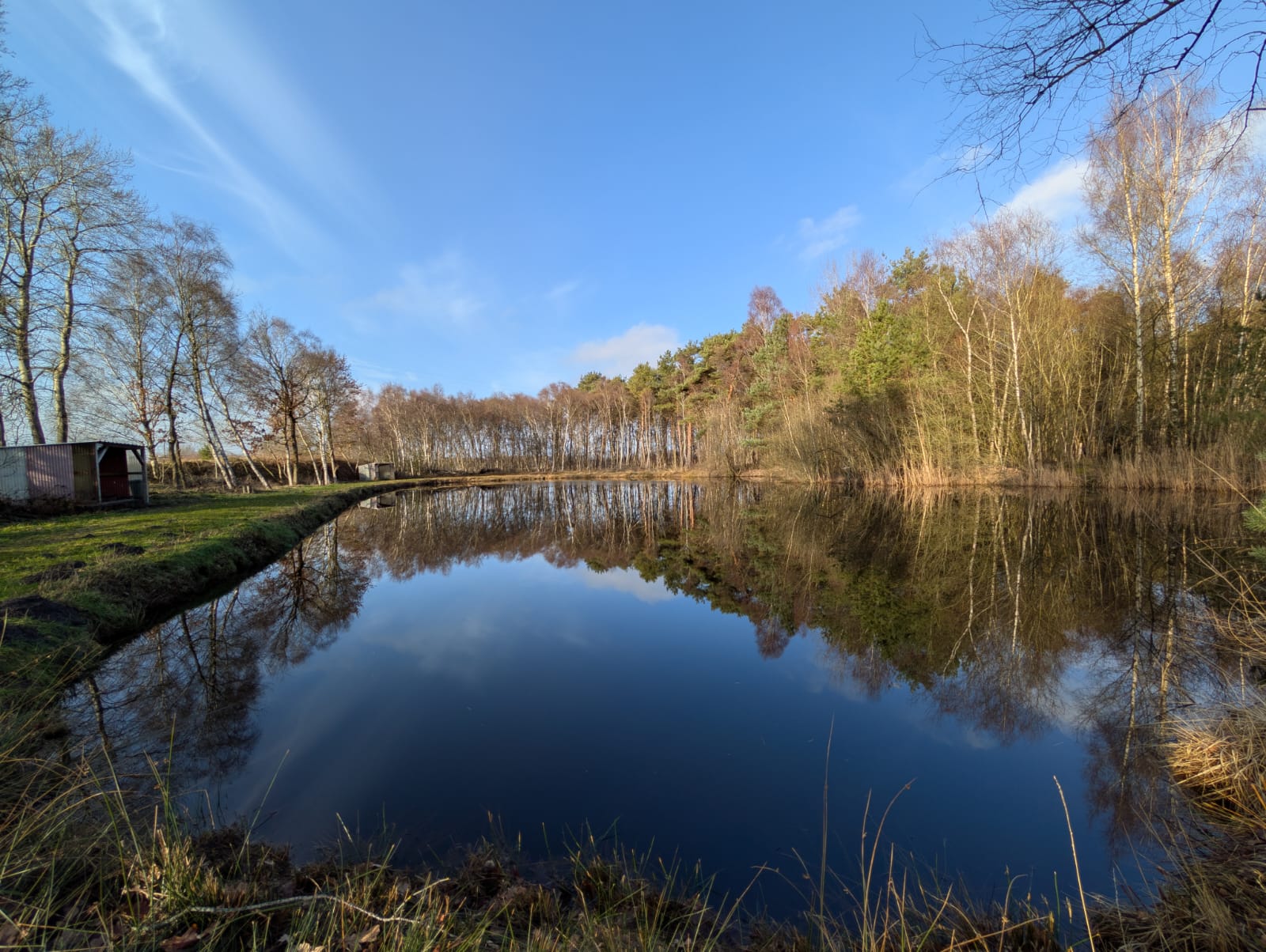 Teich 5