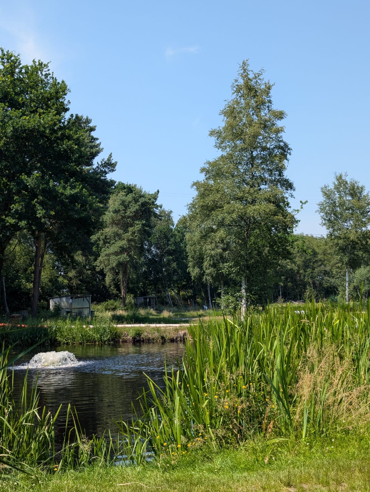 Galerie des Angelparks Birkengrund