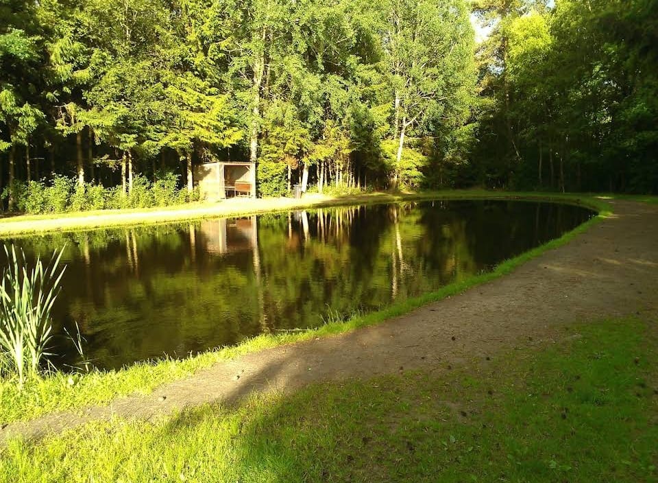 Teich 3